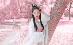 What is hanfu